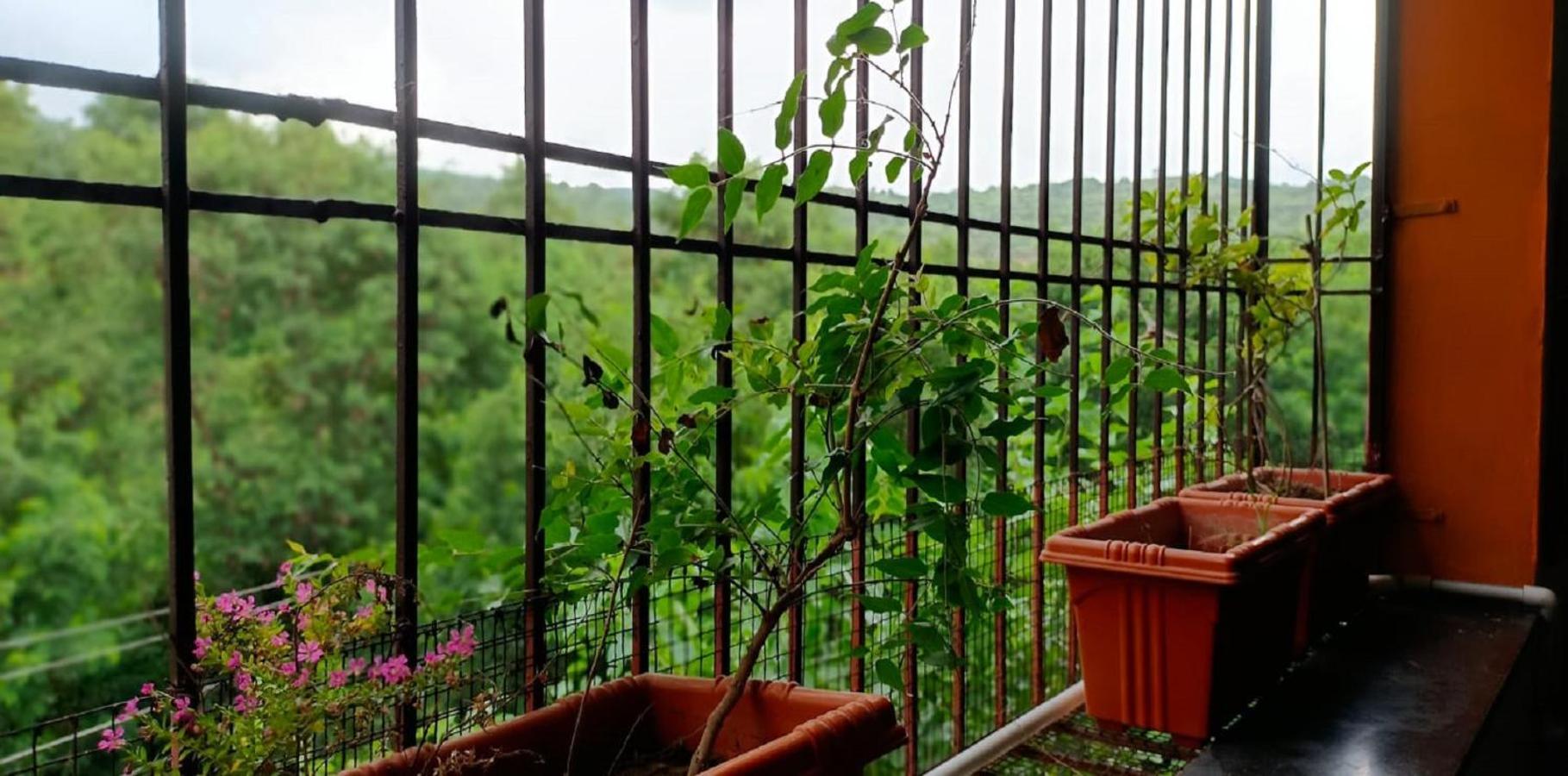 Abhayanand Agro Tourism Villa Ellora Eksteriør billede